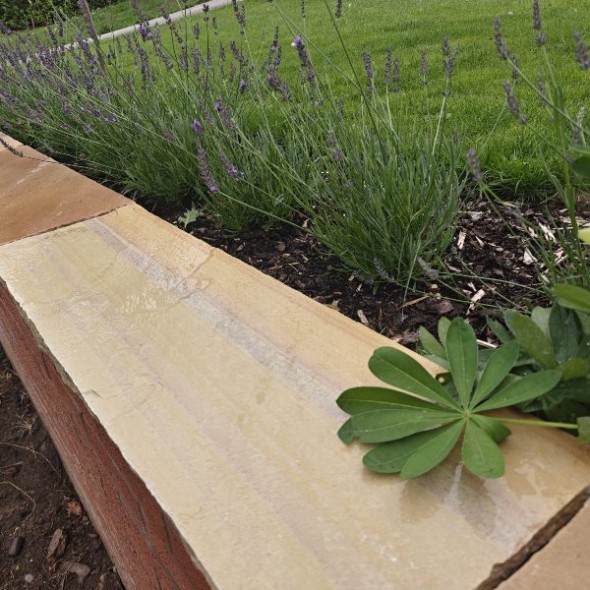 Fossil Mint coping stone 900x300x50