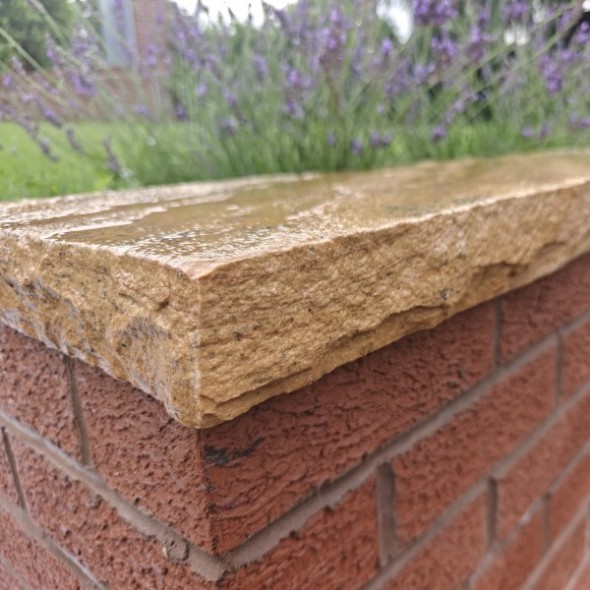 Fossil Mint coping stone 450x450x50