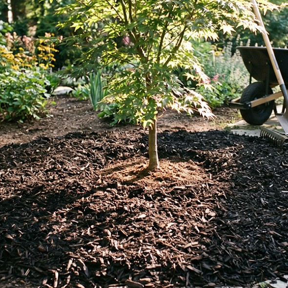 gravel-binder4